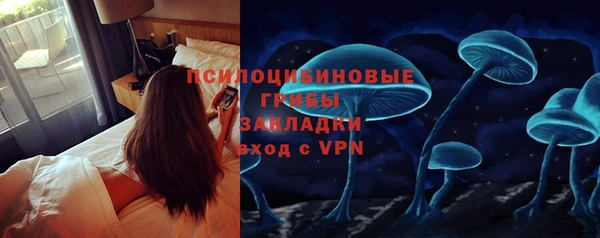стафф Няндома
