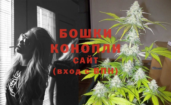 бошки Горнозаводск