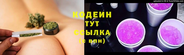 2c-b Горняк