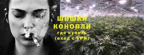 2c-b Горняк